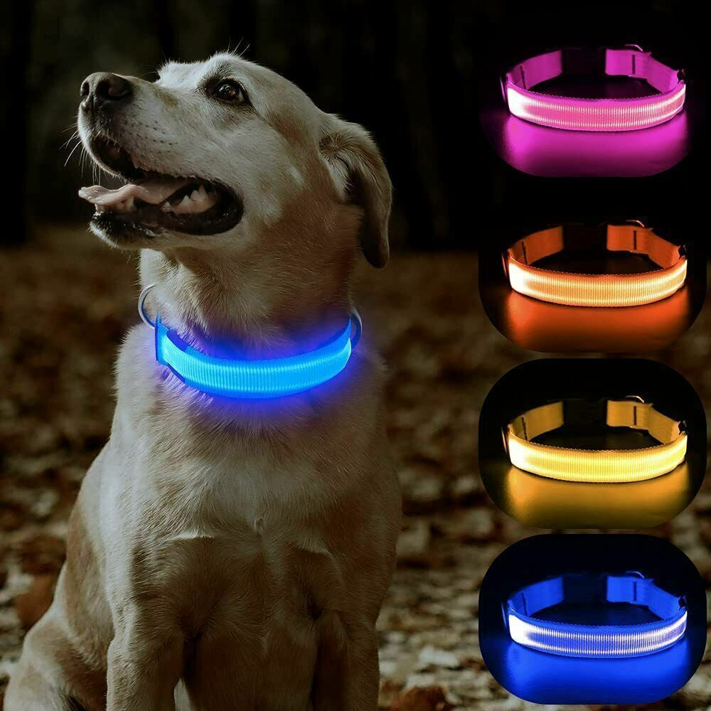 Light up Flashing USB Rechargeable LED Pet Dog Collar