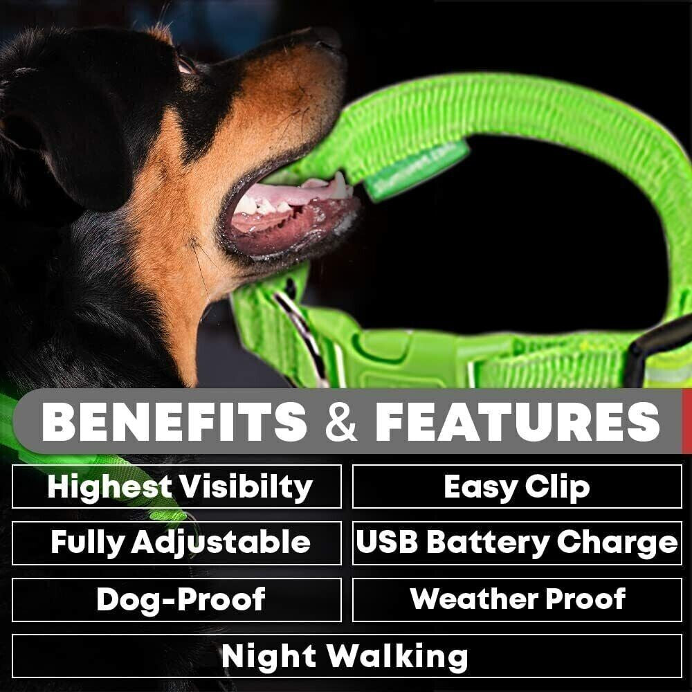 Light up Flashing USB Rechargeable LED Pet Dog Collar