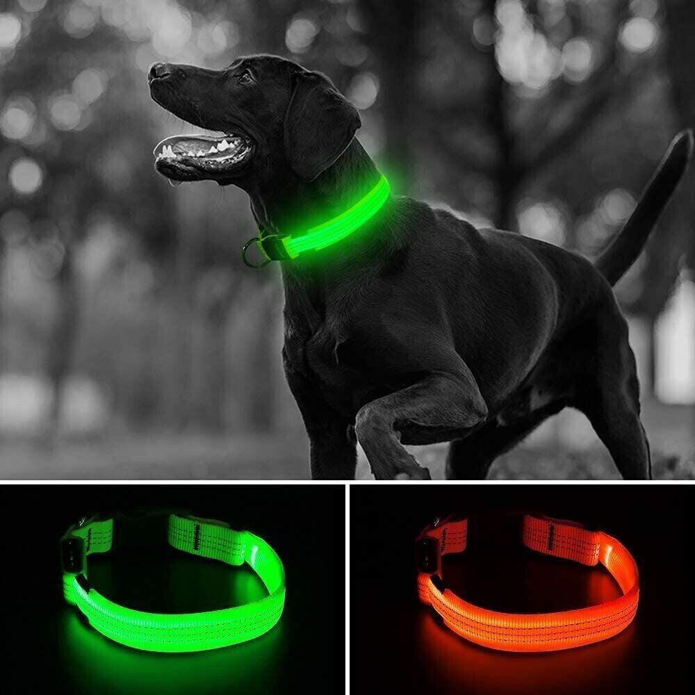 Light up Flashing USB Rechargeable LED Pet Dog Collar