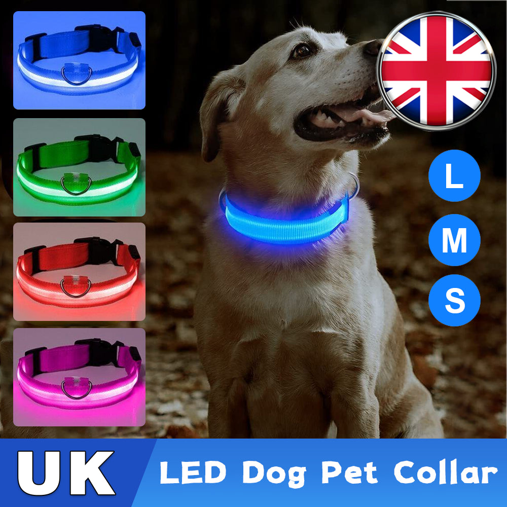 Light up Flashing USB Rechargeable LED Pet Dog Collar