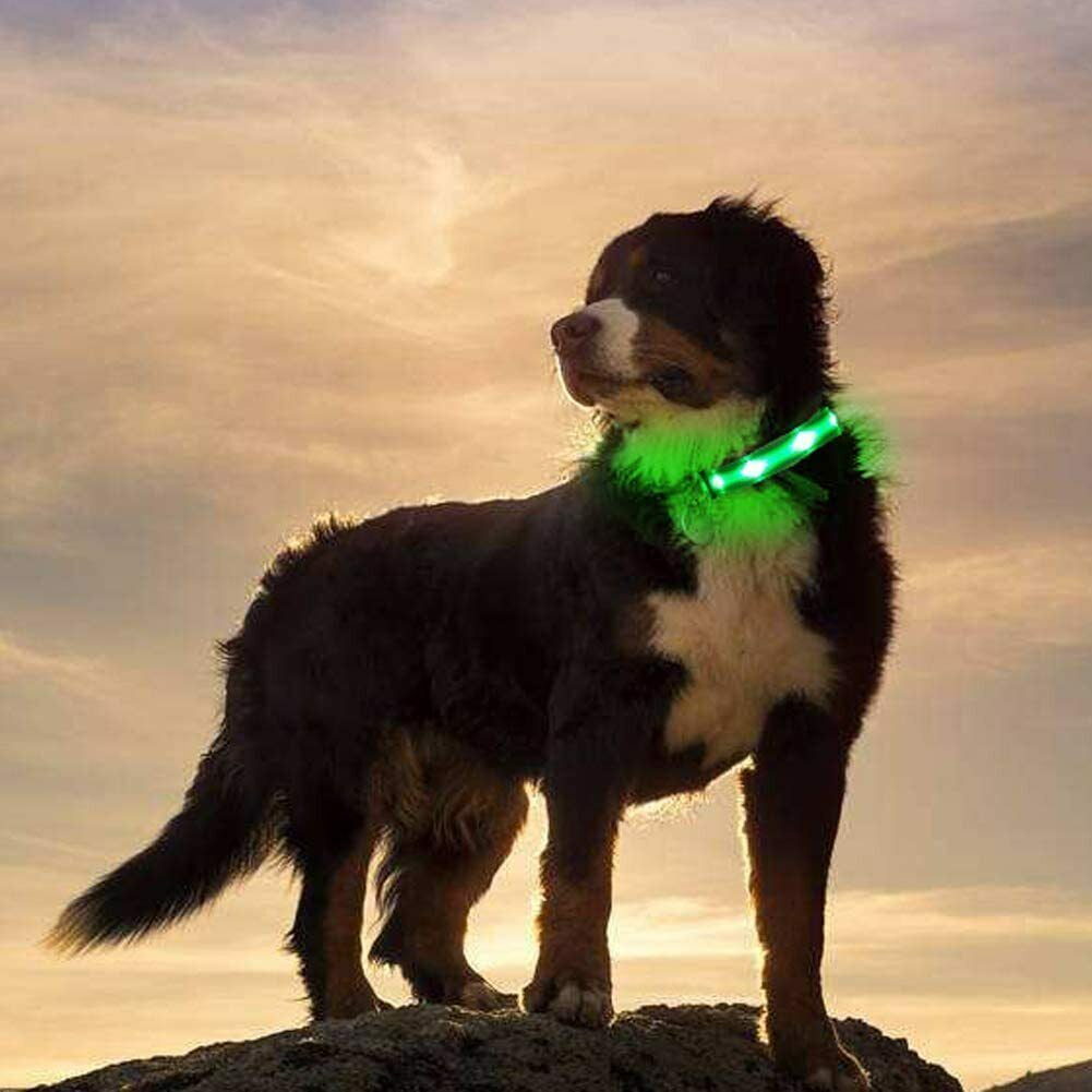 Light up Flashing USB Rechargeable LED Pet Dog Collar