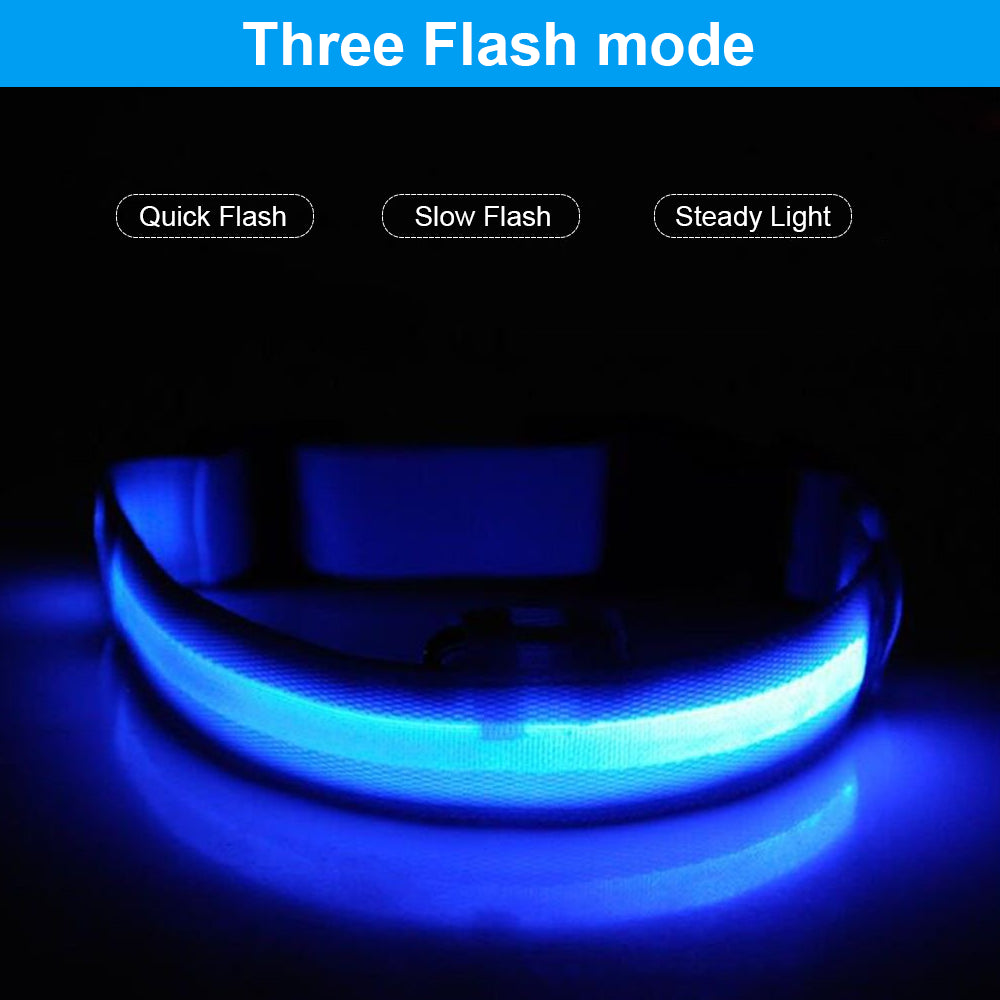 Light up Flashing USB Rechargeable LED Pet Dog Collar